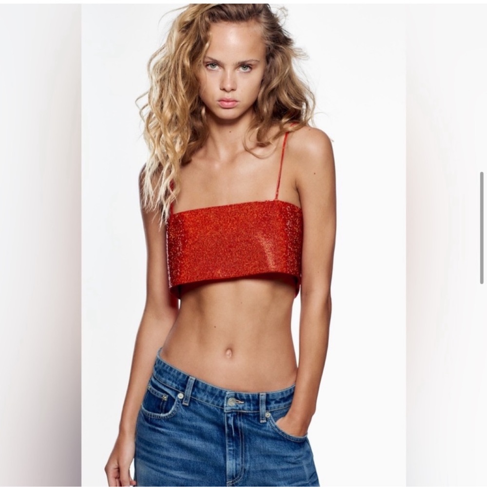 ZARA Rinestone Crop top